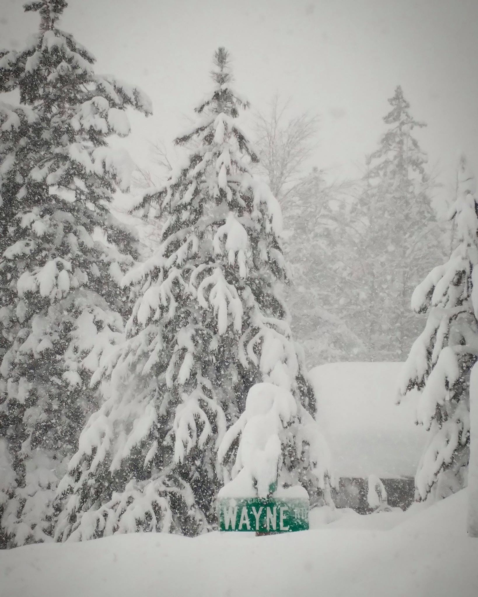 It's been NUKING at Squaw. Image: Squaw Facebook Page