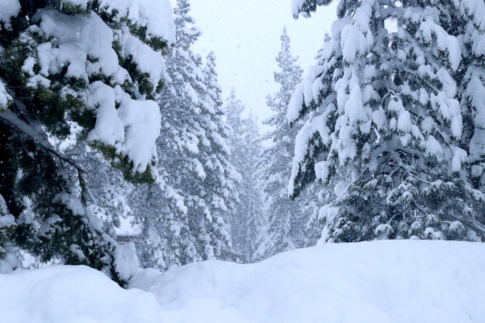 Powder awaits you at Northstar. Image: Northstar Facebook Page