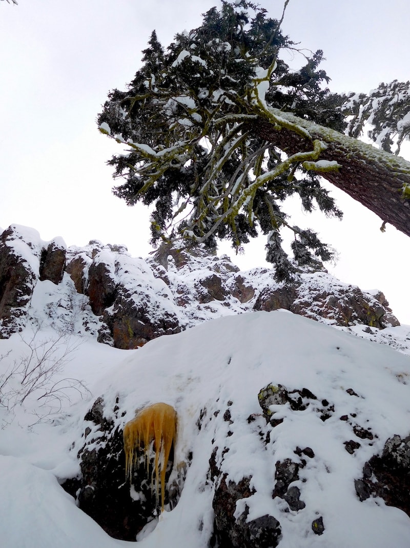 Beauty and the Munchkin. image: snowbrains