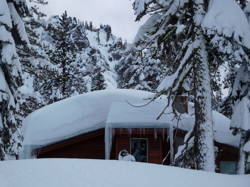M1 looking good.... image: snowbrains