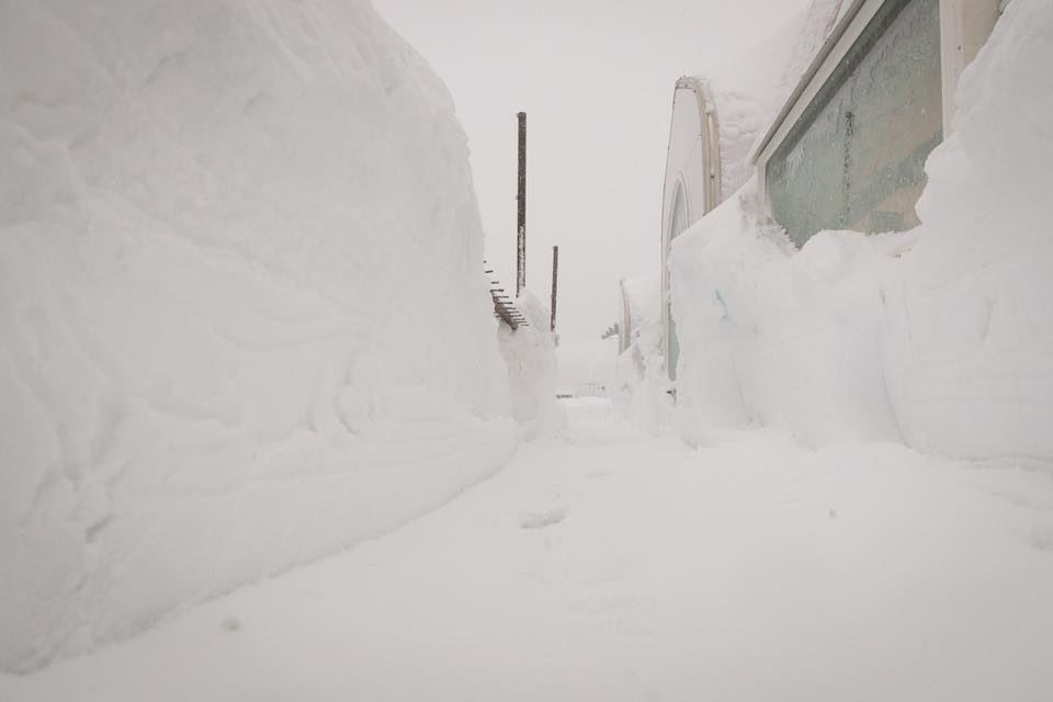 Mammoth Today. Image: Mammoth Facebook Page