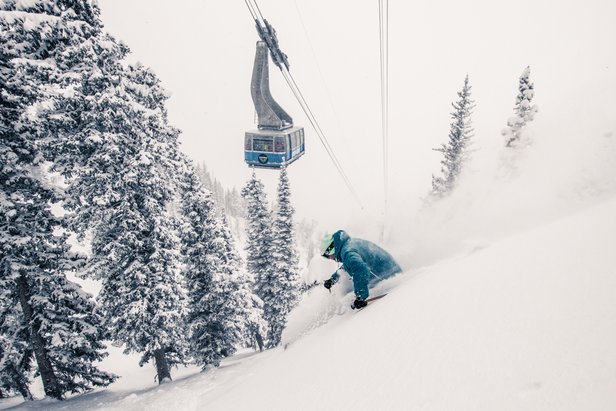 Snowbird athlete Ben Wheeler skis under the tram at Snowbird. Image: ©Liam Doran