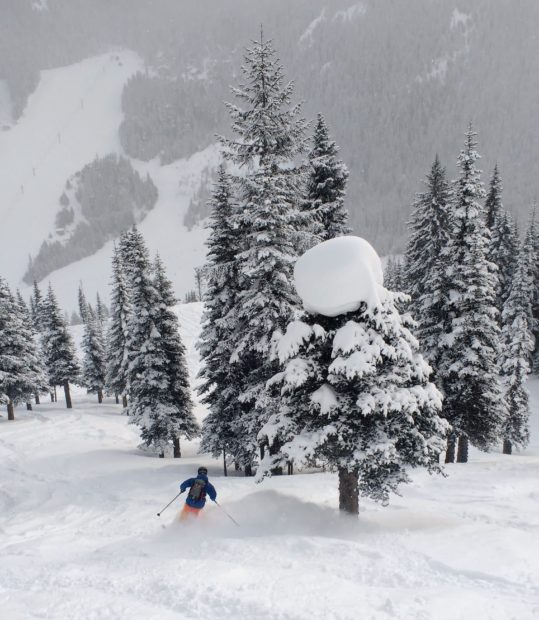 whitedot skis, Reid Pitman, Norrona