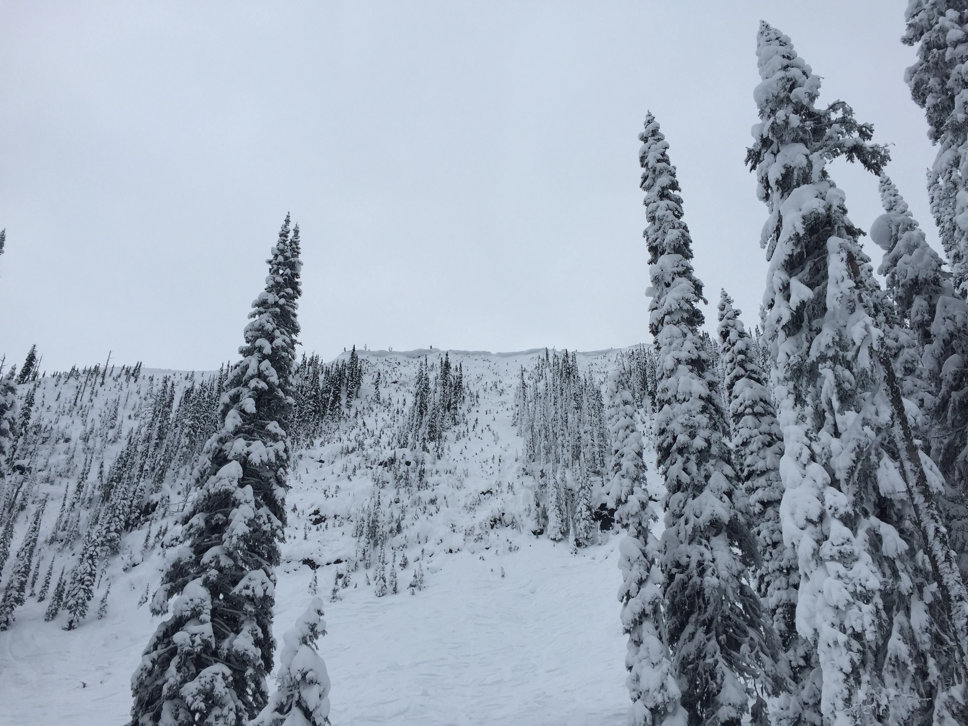 Some steep technical skiing on the back of Grey Mountain.