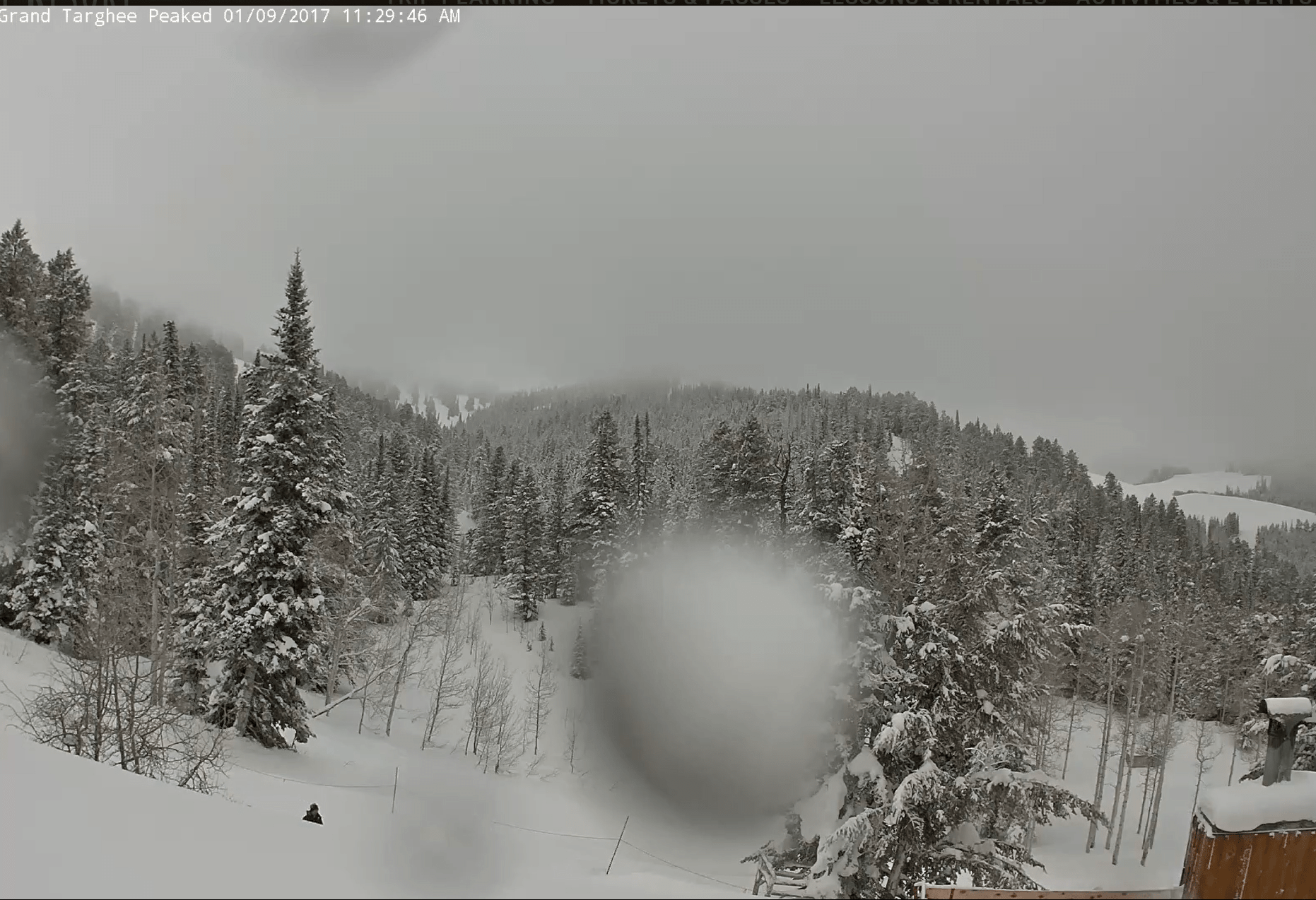 Grand Targhee Right Now. Image: Targhee Webcam