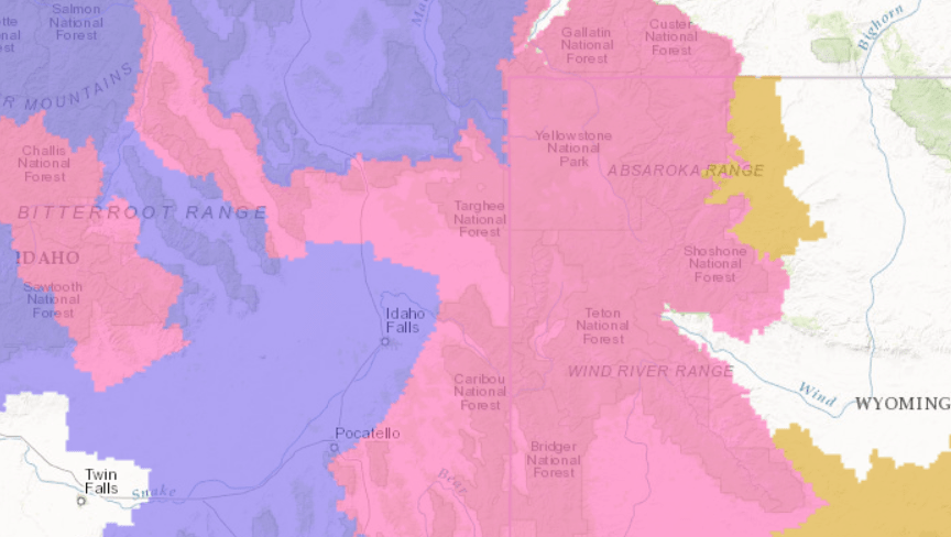 PINK= Winter Storm Warning. PURPLE= Winter Weather Advisory. Image: NOAA Today