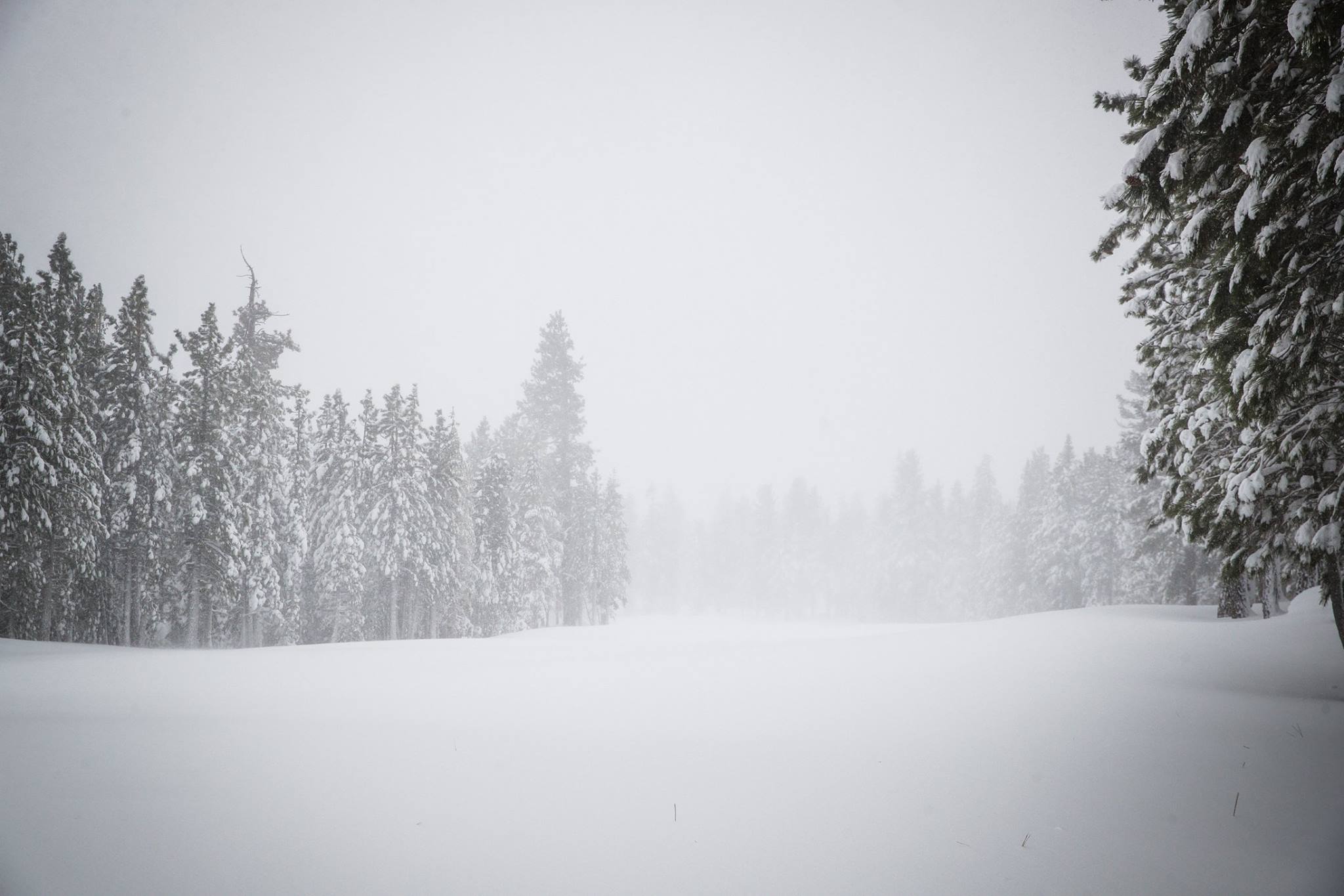 Snowing at Mammoth Today. Image: Mammoth Facebook Page