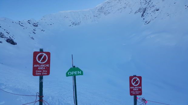 NF Glacier bowl