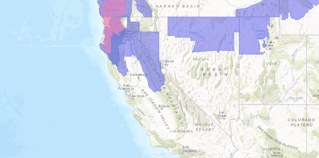 PINK = Winter Storm Warning. PURPLE = Winter Weather Advisory. image: noaa, today