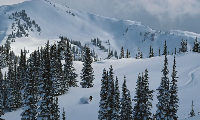 Snowmobiling in Valemount, B.C. Image: Thompson Okanagan