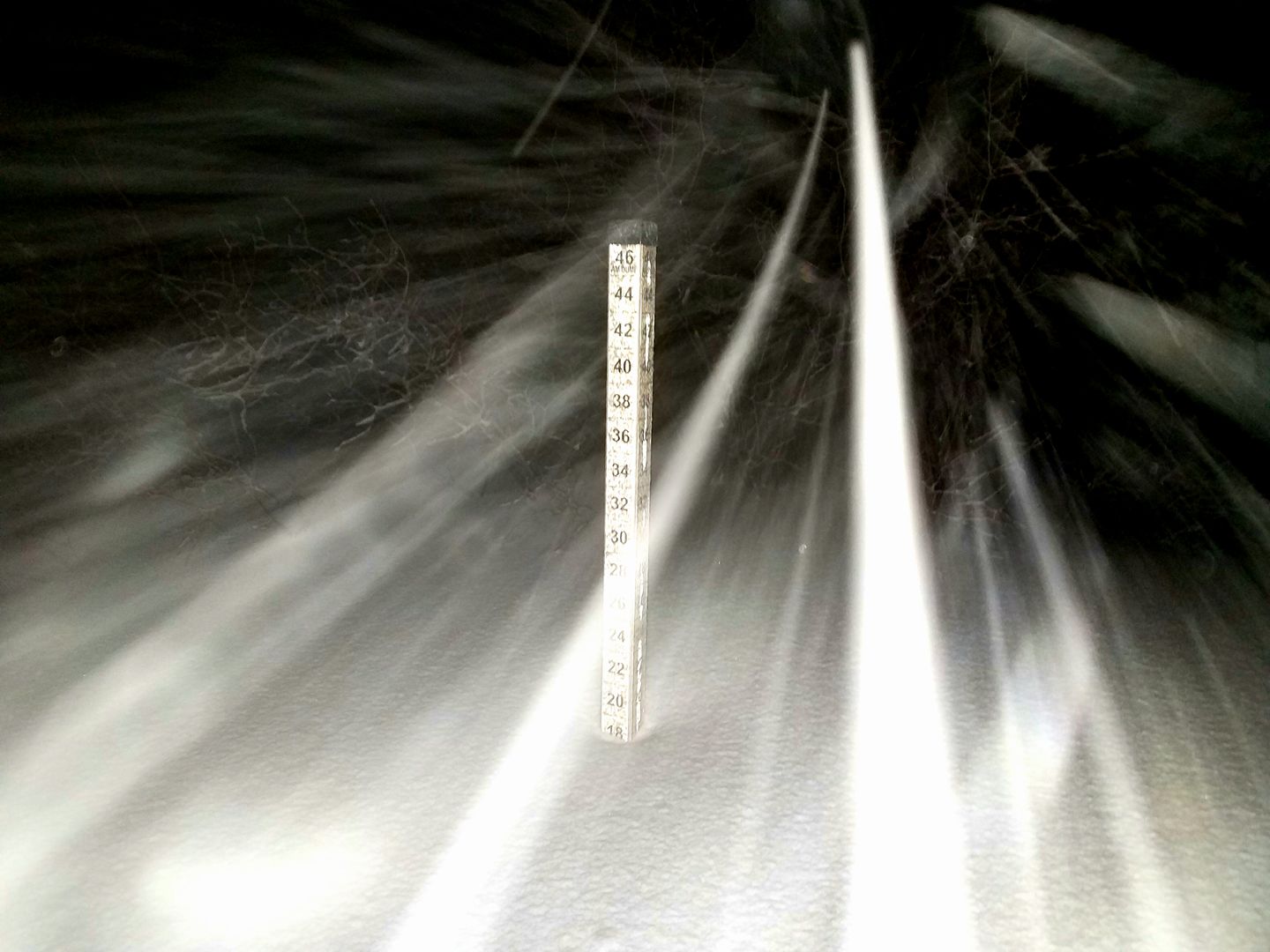 Sugar Bowl this morning with 24" in the past 24 hours. Image: Sugar Bowl Facebook Page