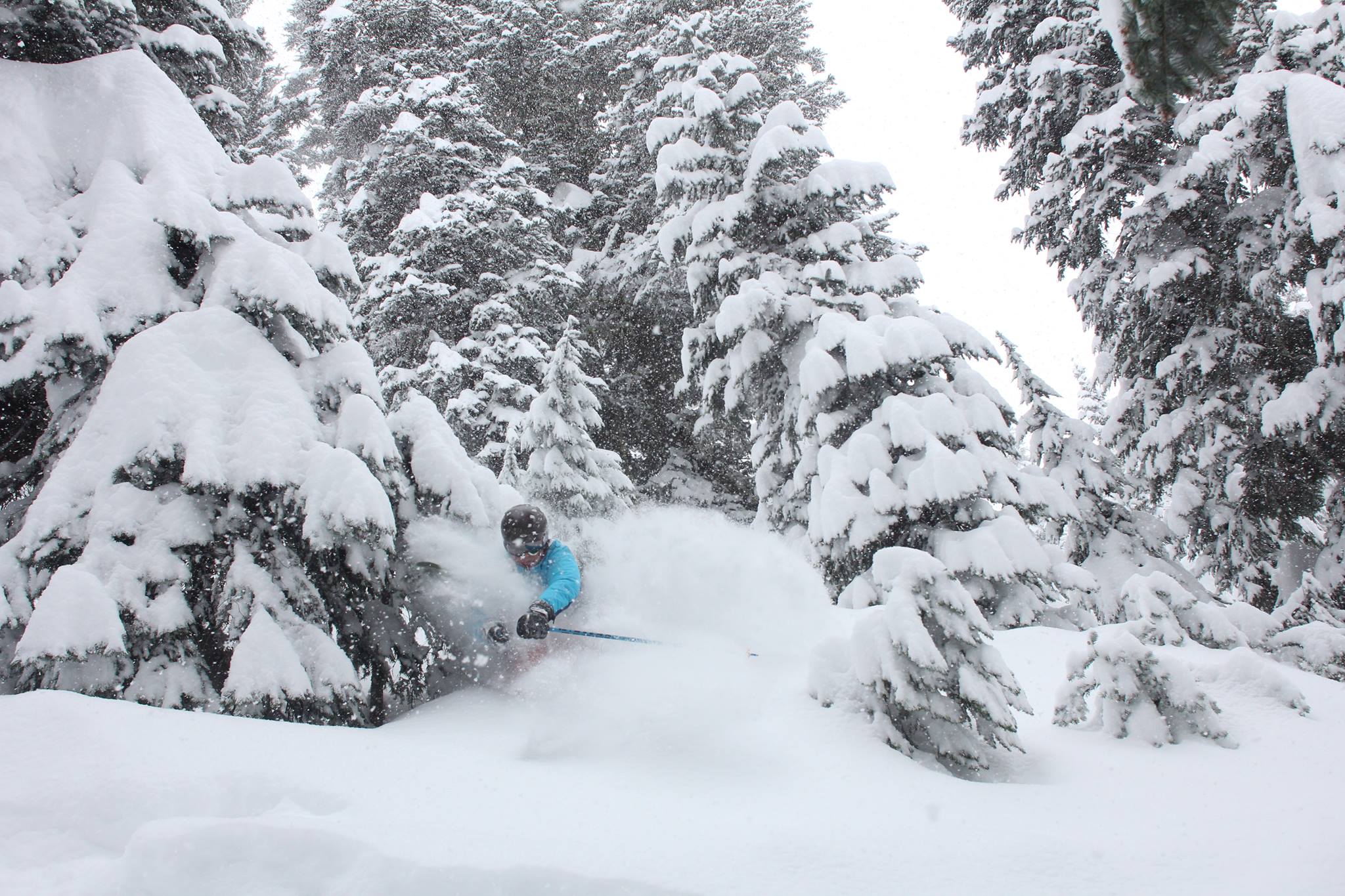 DEEP DEEP DEEP. Image: Mt. Hood Meadows