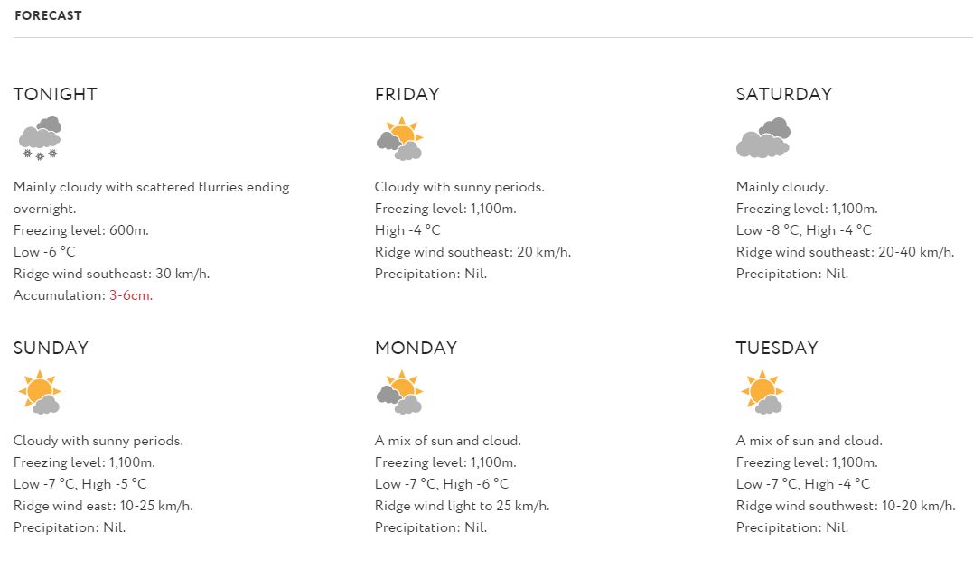 forecast