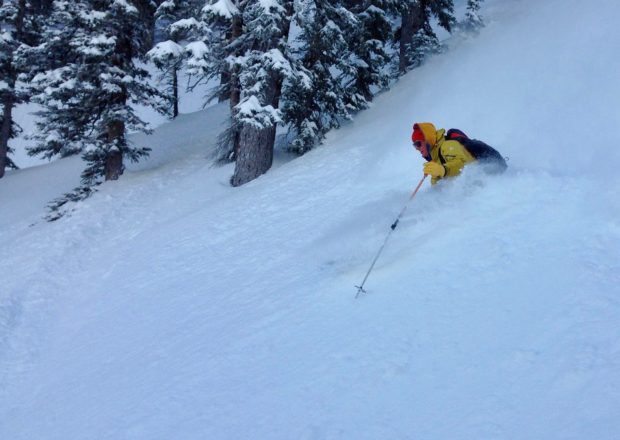 You just gotta look! Ted finds his in the Enchanted Forest. photo: Snowbrains