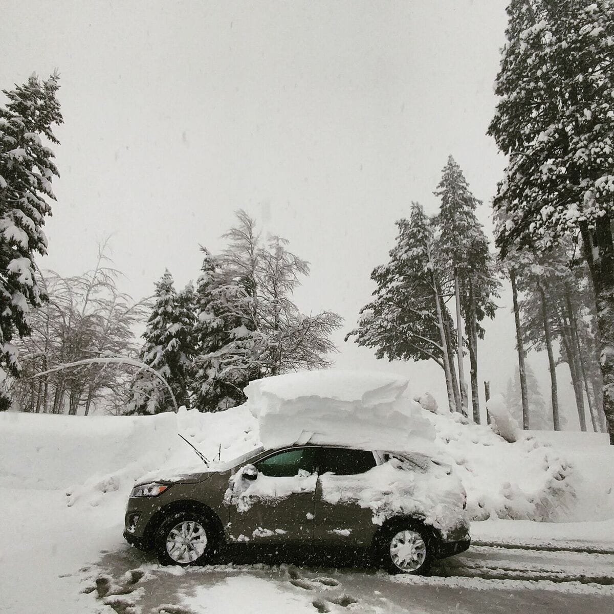 El Niño