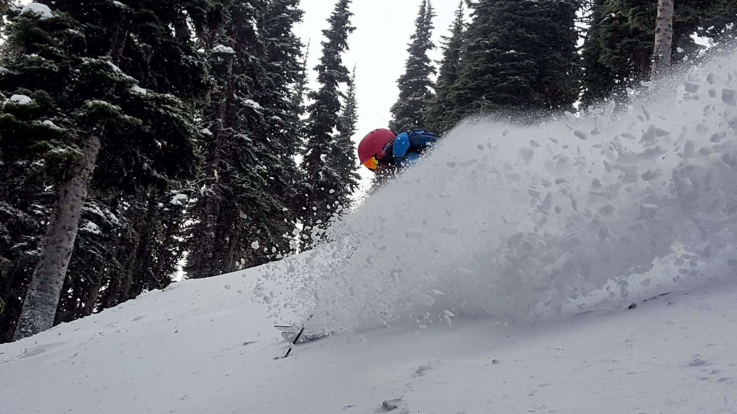 Skiing, crystal mountain, powder