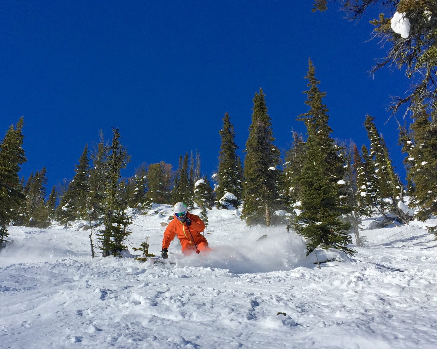 Some boot top powder in the open Glades under the gondola. Fun little cliff drops just above this area.