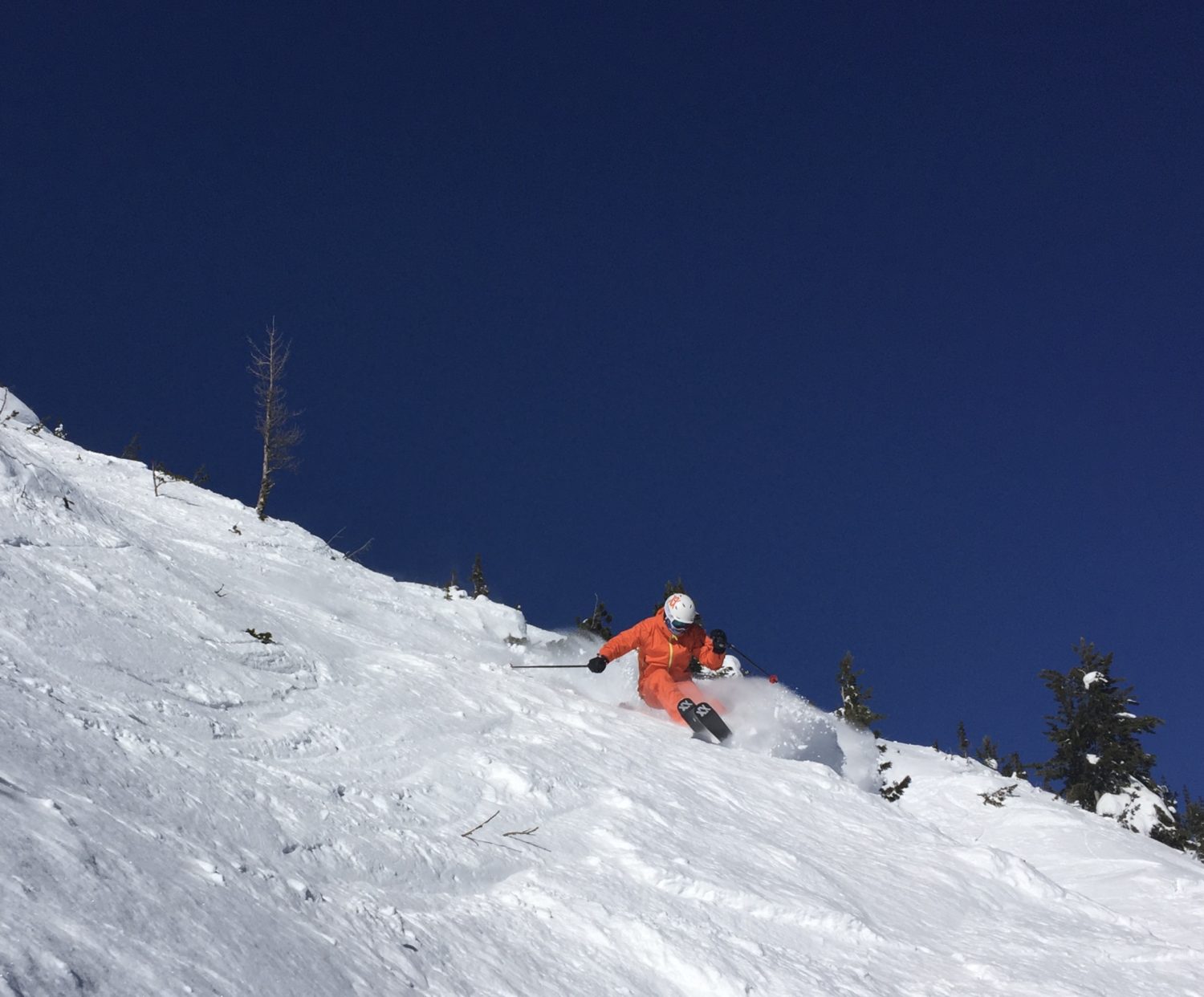 Fun terrain in the Super Bowl.