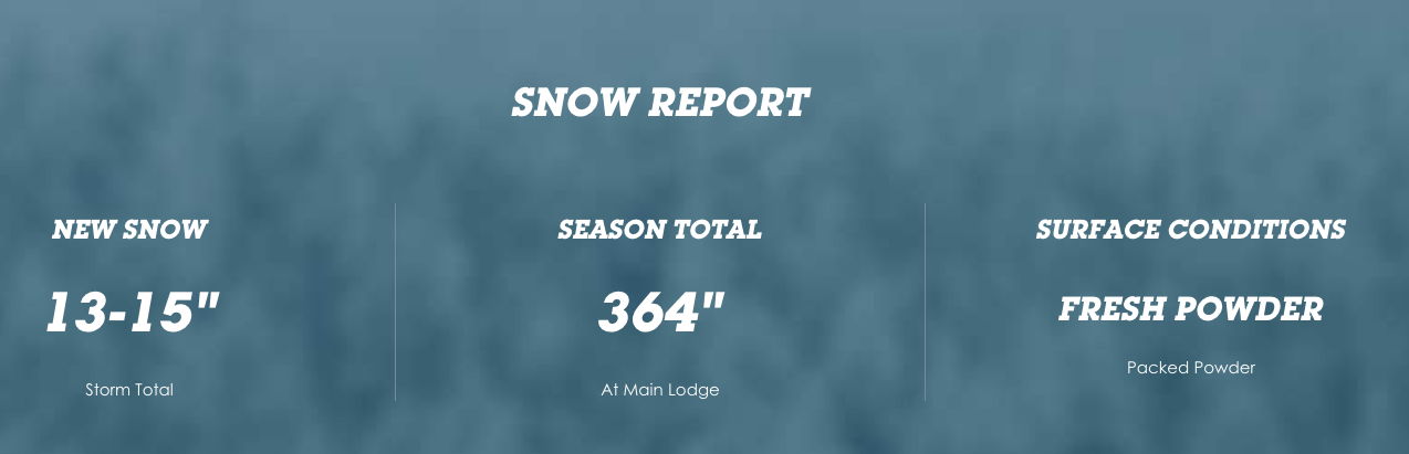 image: mammoth, tomorrow