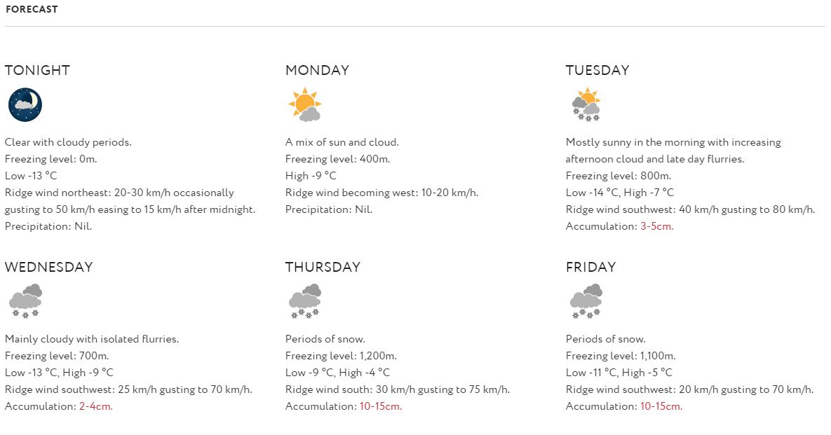 forecast