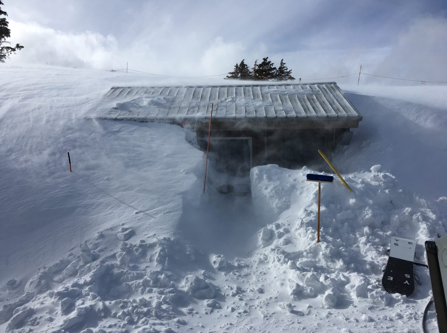 Mammoth, CA today. photo: snowbrains