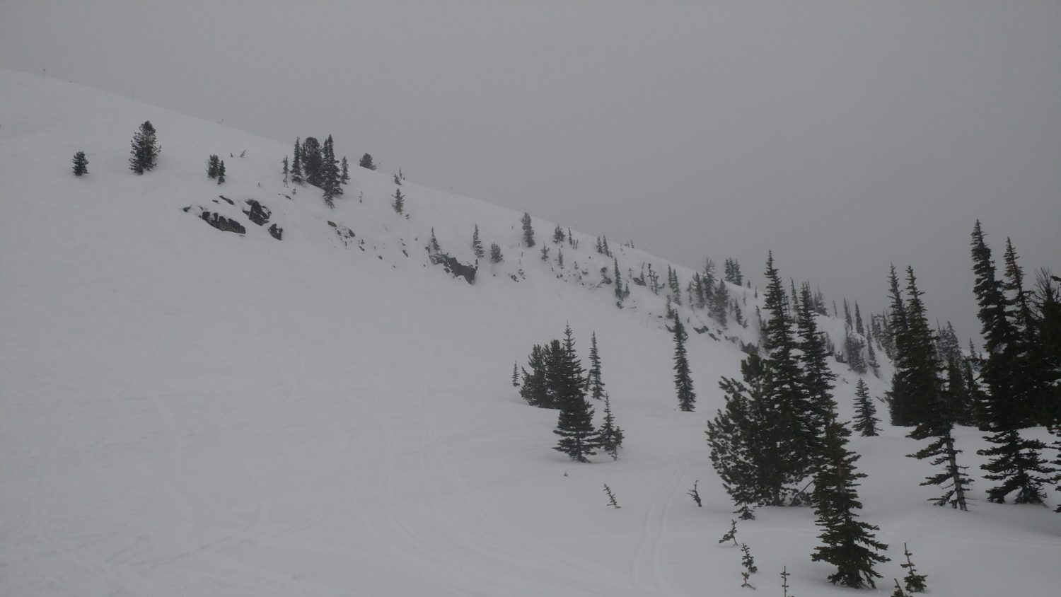 Frogs Hollow
