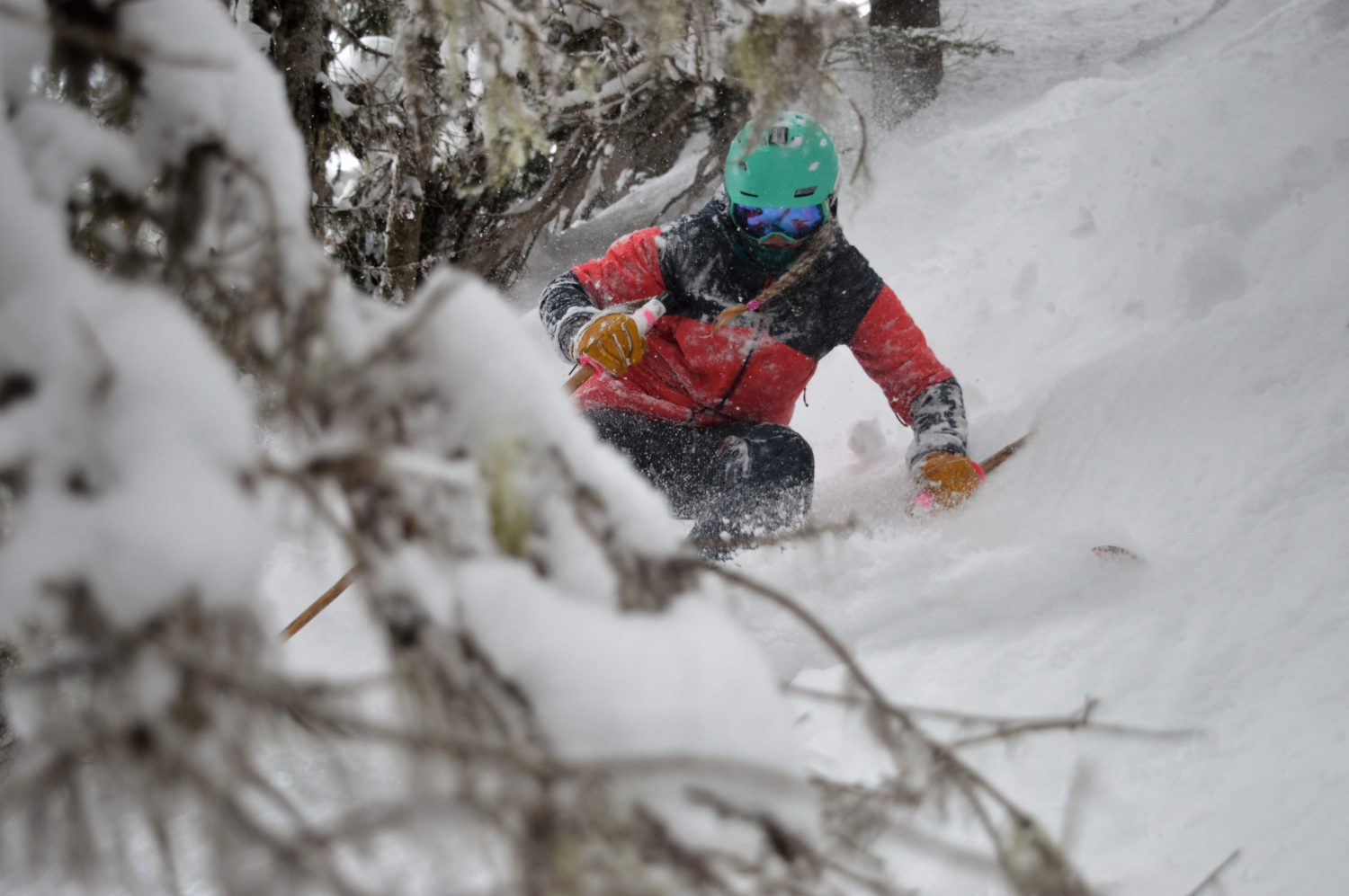 Crystal mountain, trees, skiing, powder, tree skiing