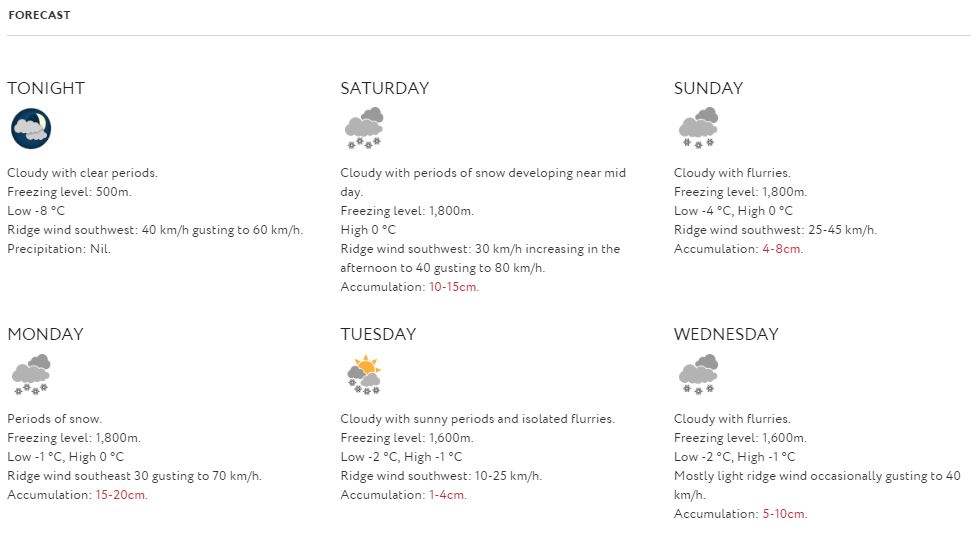 forecast