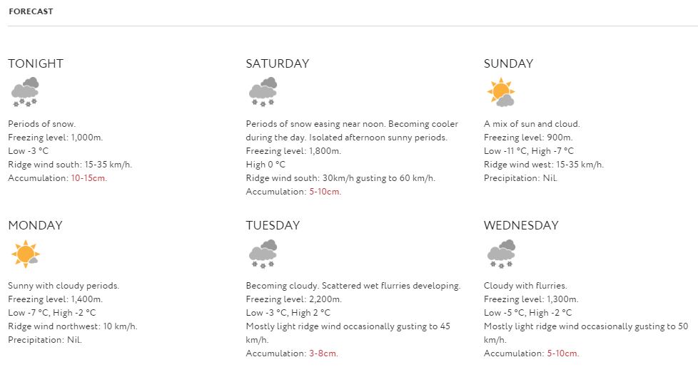 forecast
