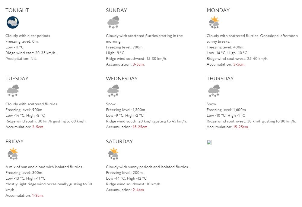 forecast