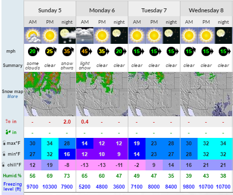 forecast