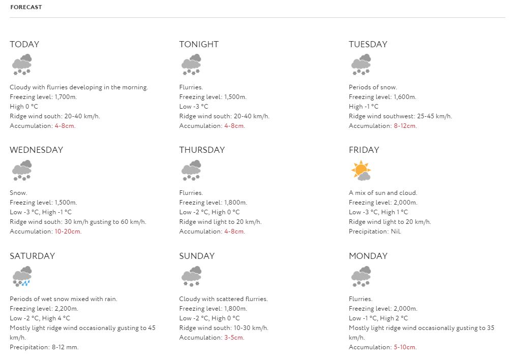 forecast