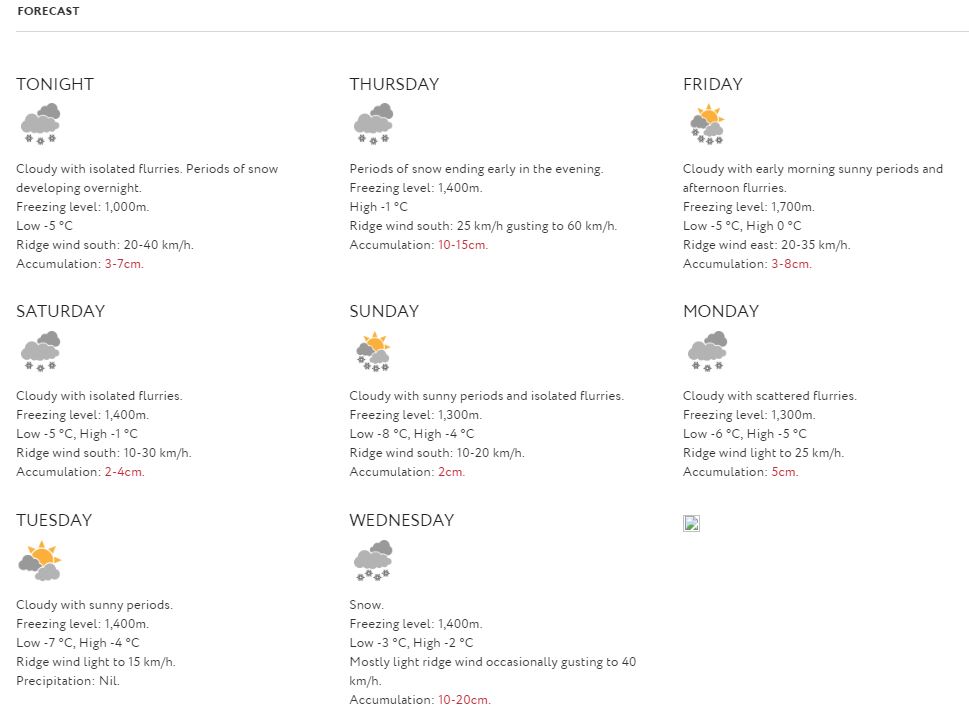 forecast