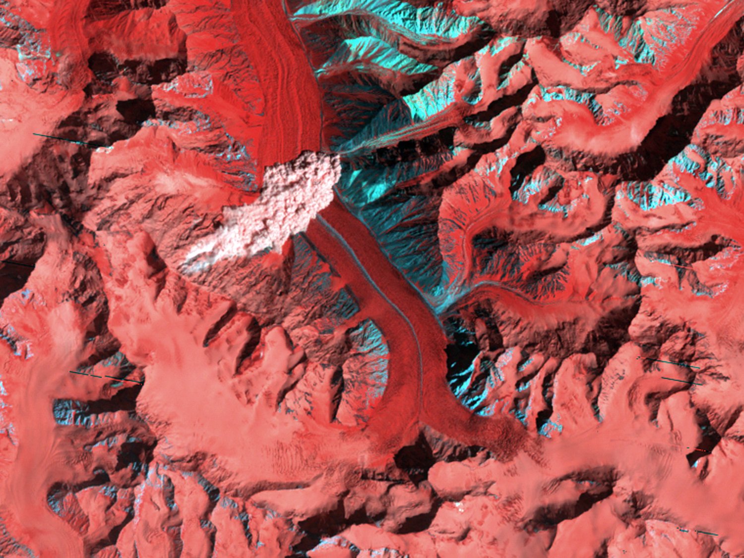 Landsat satellite NASA Kanjut Sar Pakistan