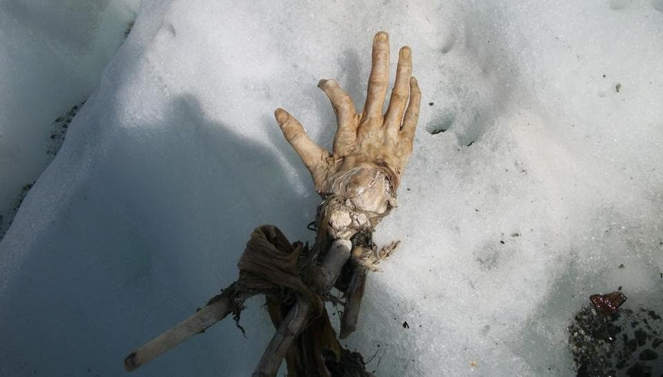 Hand, Remains, Bosson, Glacier, Alps, France, Chamonix, Crash, Air India
