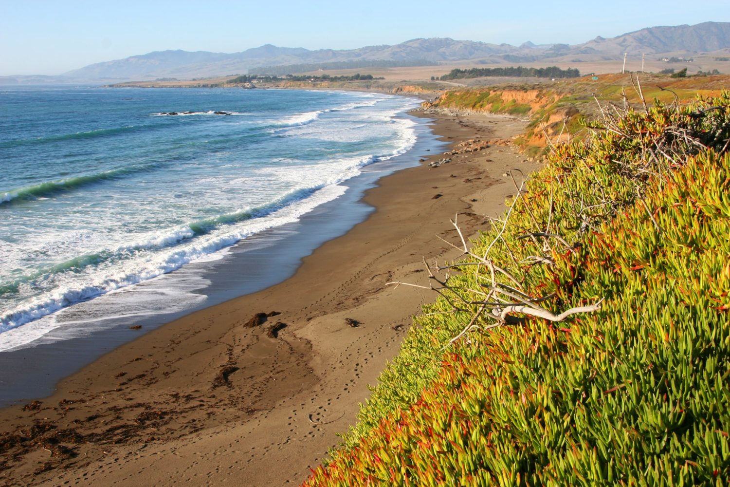 surfing, waves, death, rare, moonstone beach, cambria, california, america, united states,