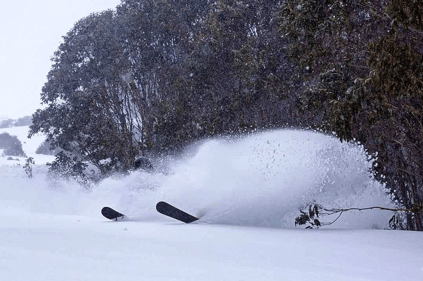 Falls Creek, Australia, blizzard of oz
