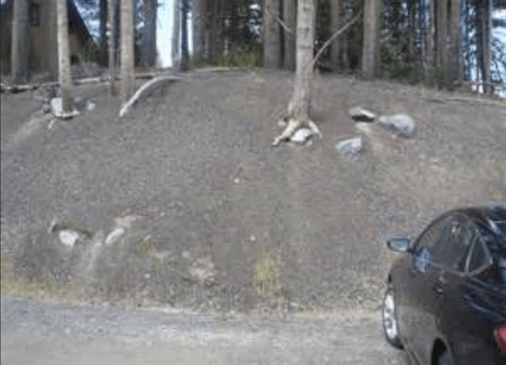 kirkwood, california, tahoe, snow removal, asphalt, fined, contamination, wetland