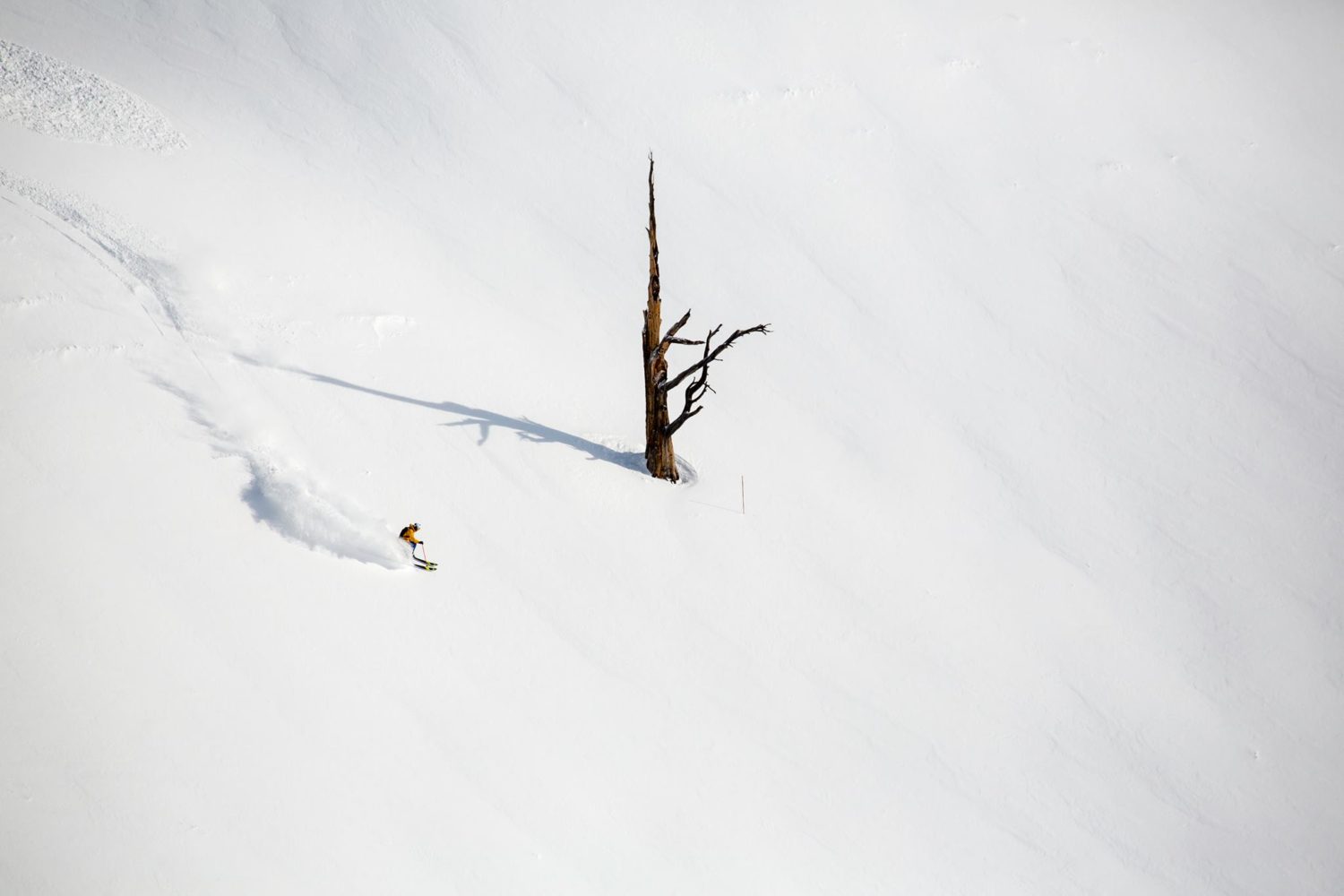 tmc, mountain collective, jackson hole, wyoming, tetons, steep, deep, upgrade, pass, dream destinations