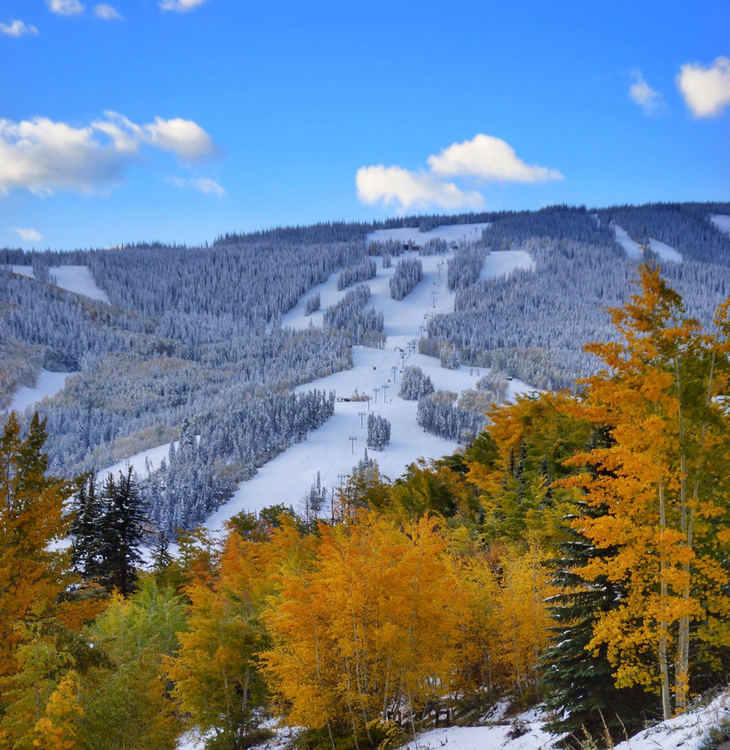 best ski resorts for beginners