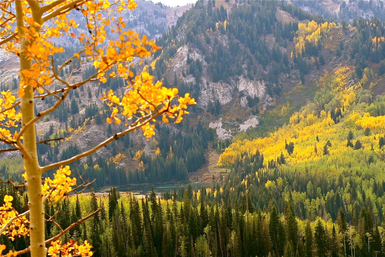 Brighton, Utah, Cottonwood Canyon, Big, Little, Petition, new town