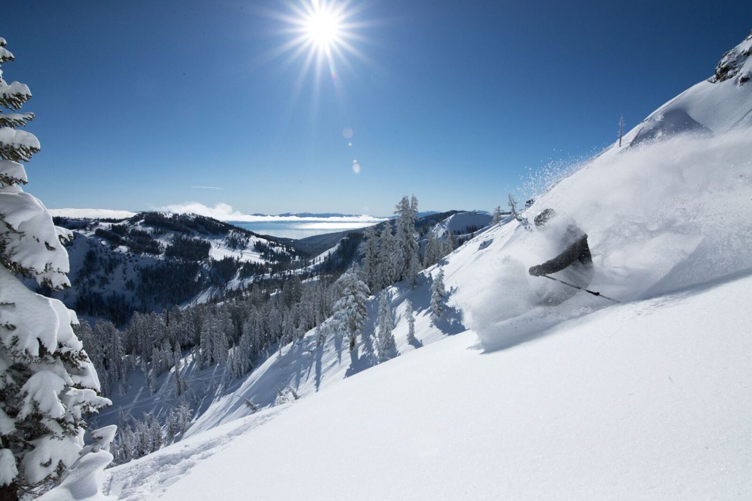 squaw valley, Ron Cohen, Andy Wirth