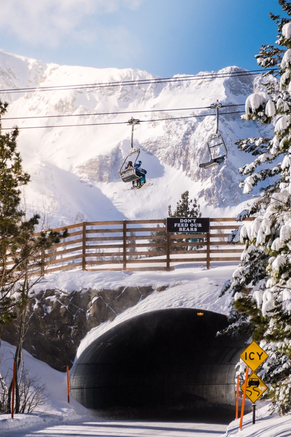 mammoth, mammothmarch