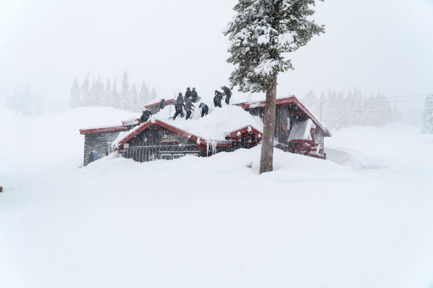 mammoth, memorial day