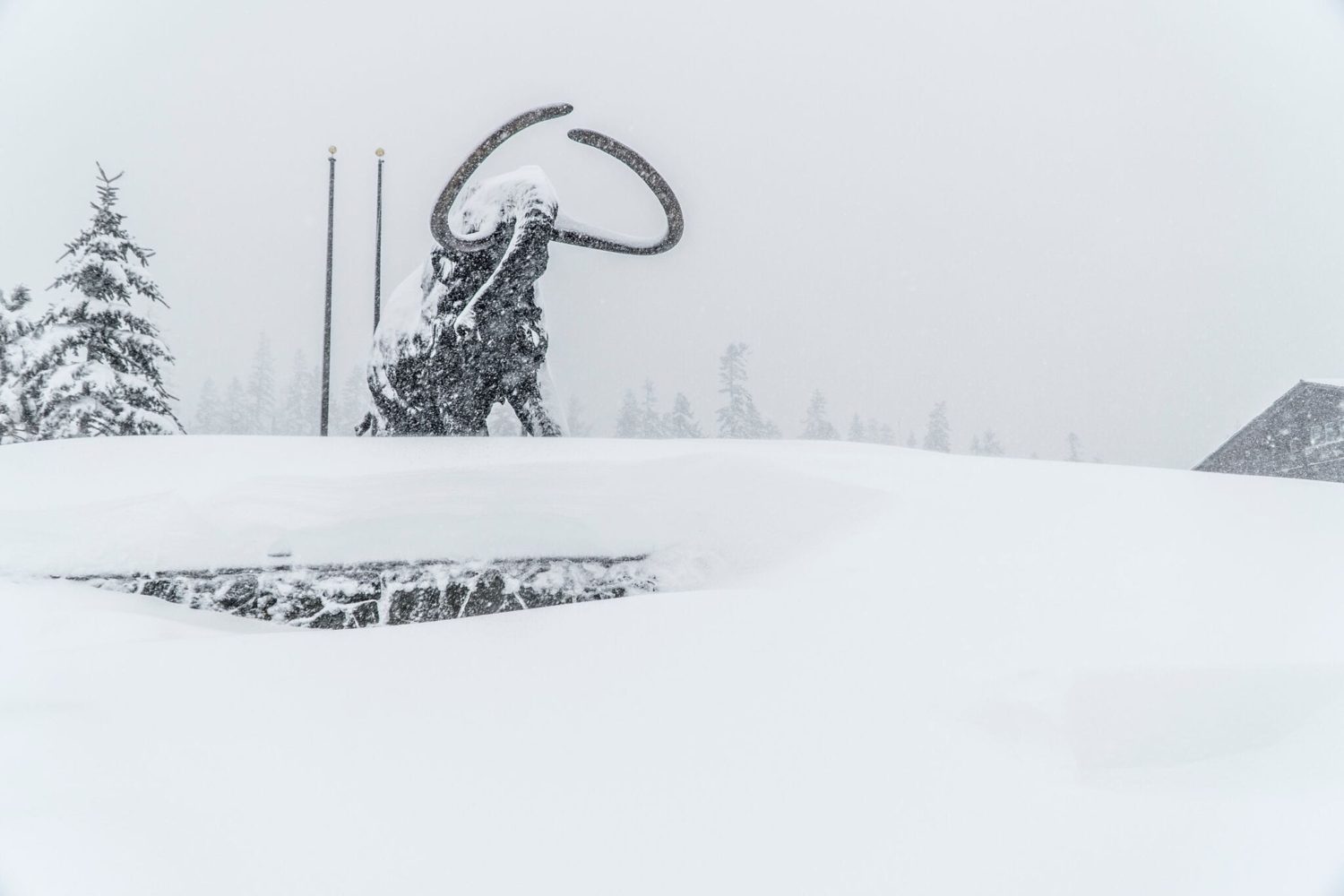 mammoth, memorial day