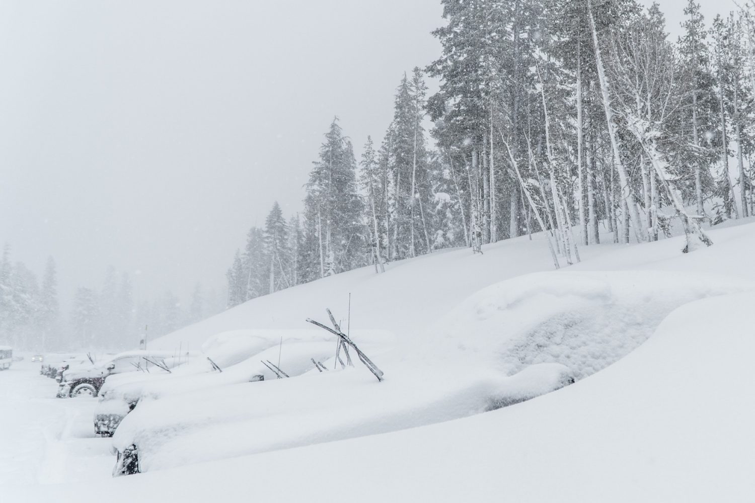 mammoth, mammothmarch