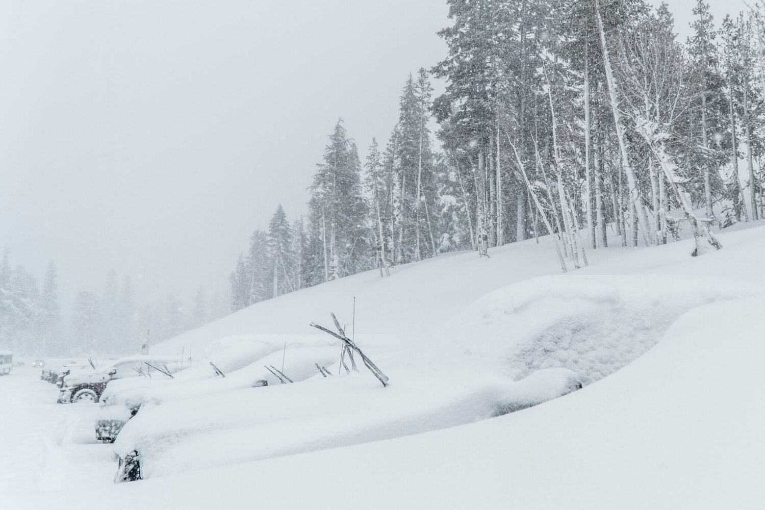 mammoth, memorial day