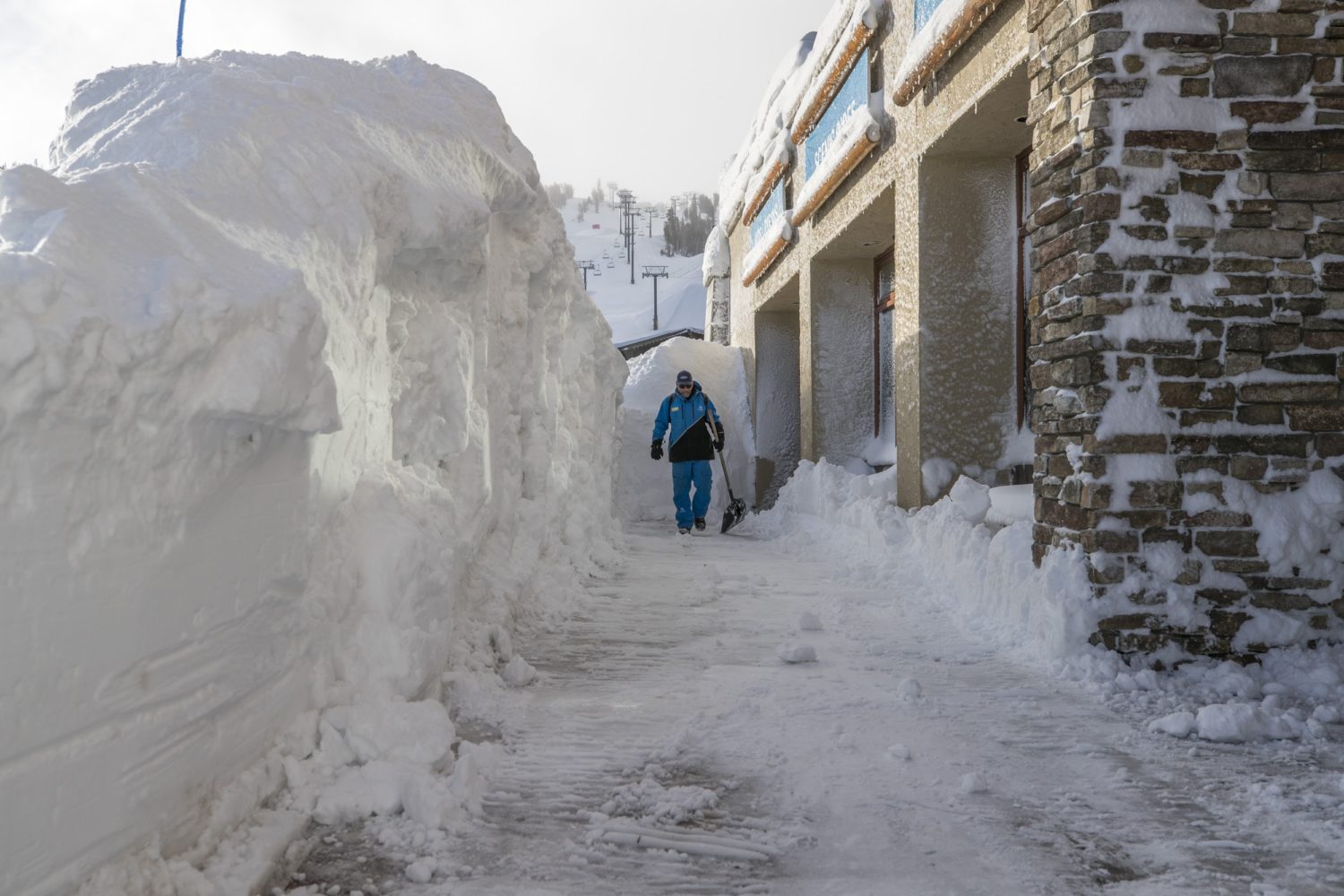 mammoth, mammothmarch