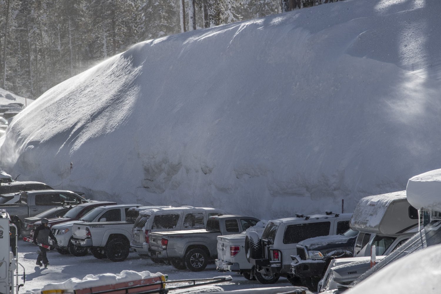 mammoth, mammothmarch
