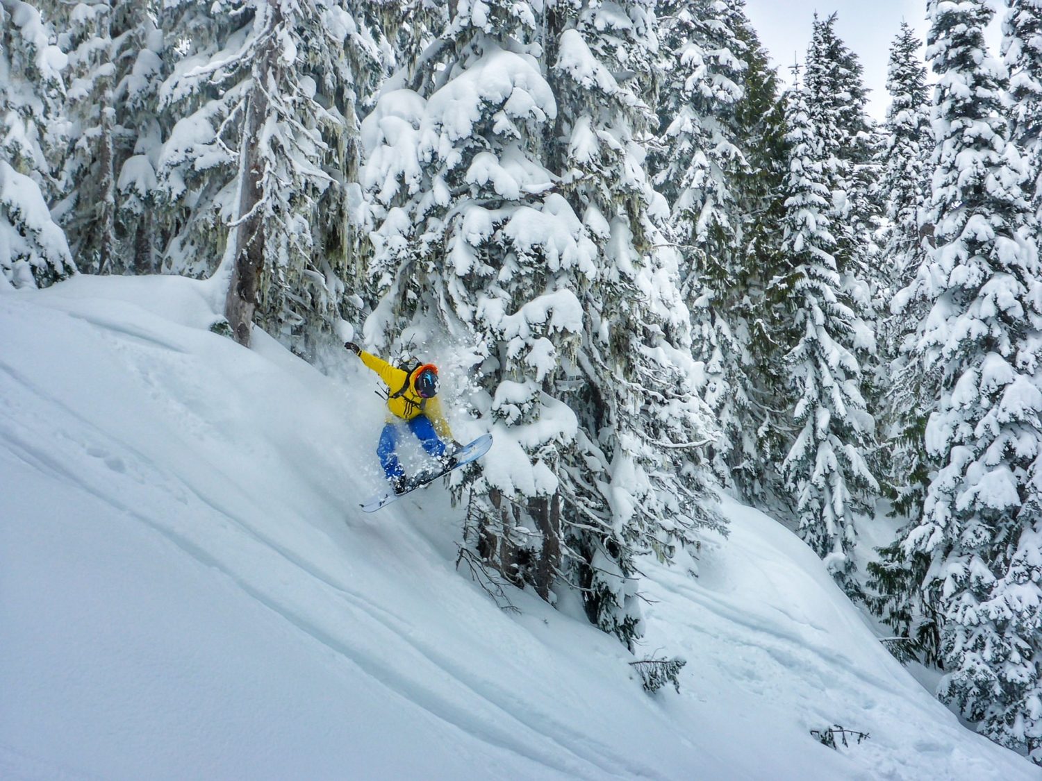 Arc'teryx Seattle, Reid Pitman